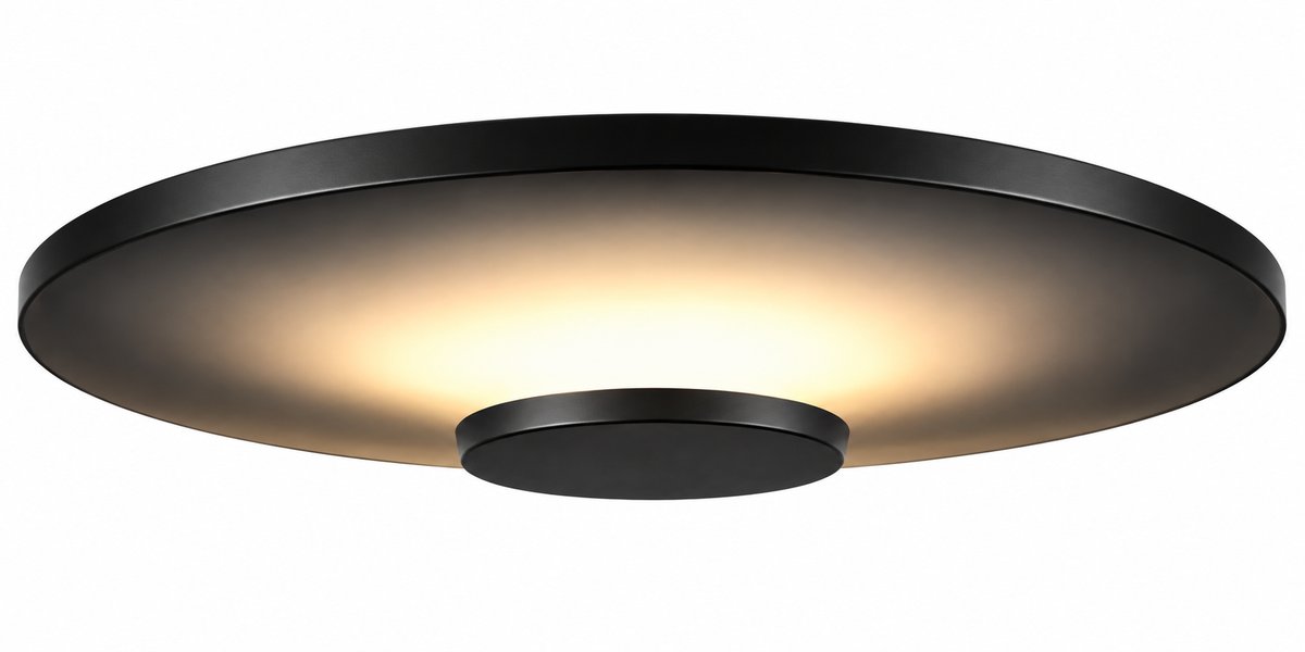 Plafonjera FJL-001-C-2 12W 3000K crna
