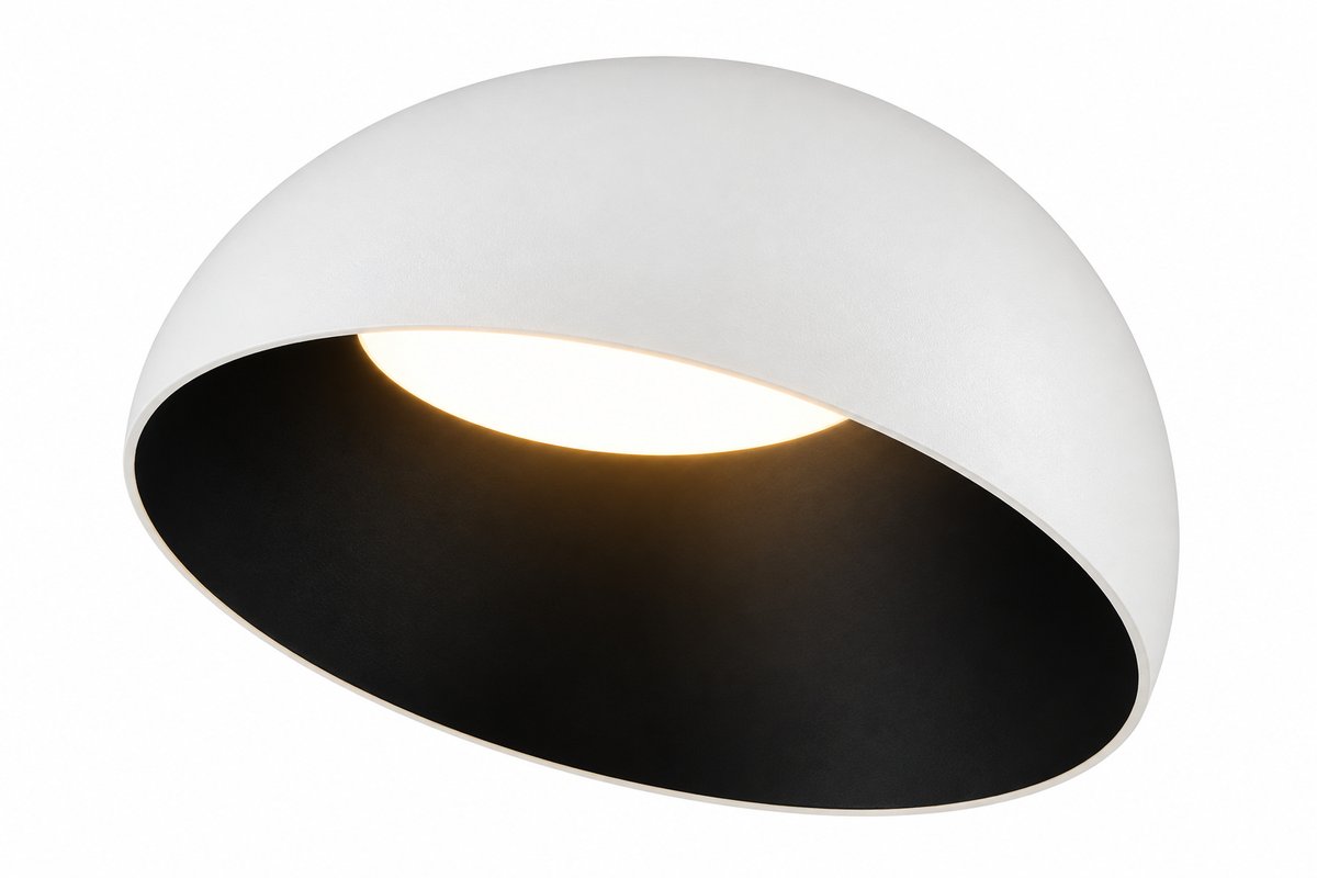 Plafonjera FJL-002-C-2 24W 3000K bijela + crna