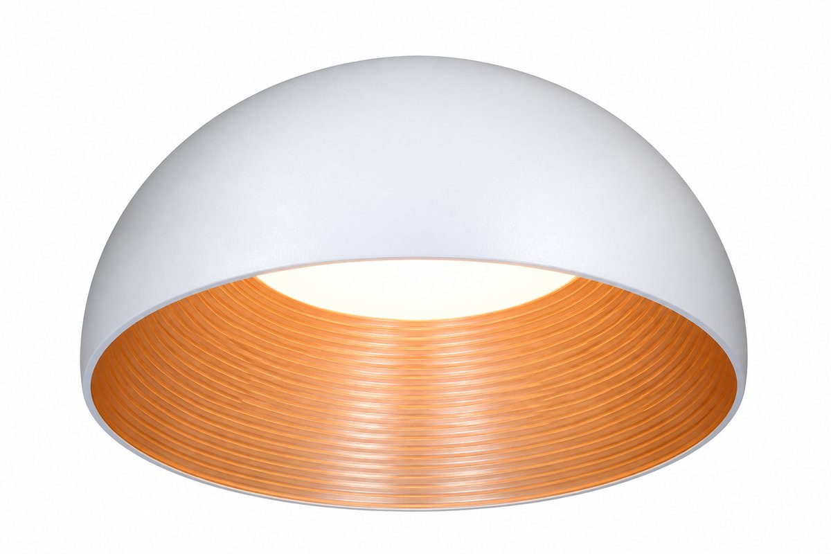 Plafonjera FJL-002-C-1 24W 3000K bijela